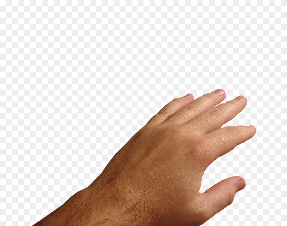 Hands, Body Part, Finger, Hand, Person Free Transparent Png