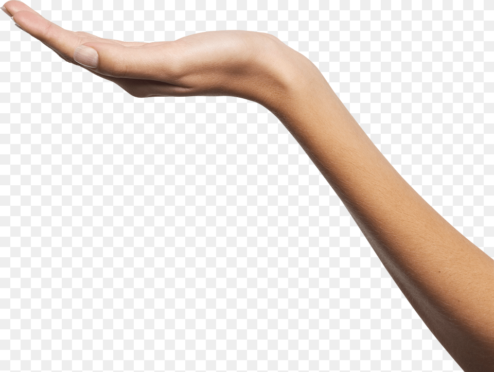 Hands Png Image