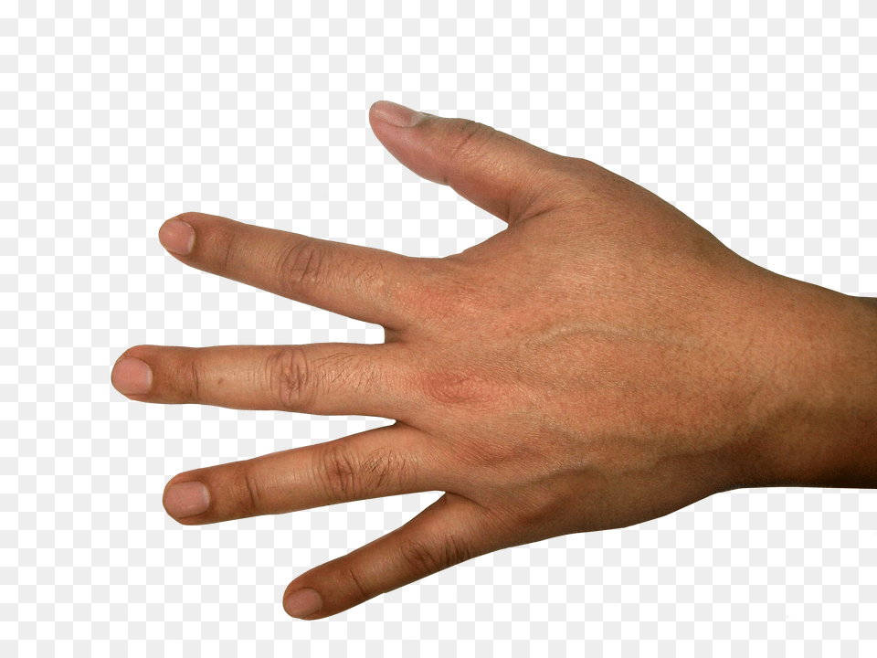 Hands, Body Part, Finger, Hand, Person Png Image