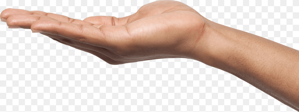 Hands, Body Part, Finger, Hand, Person Free Png Download