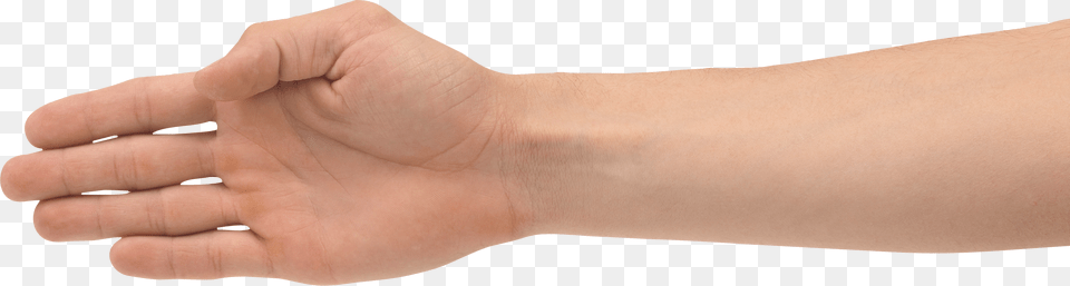 Hands, Body Part, Hand, Person, Wrist Png Image