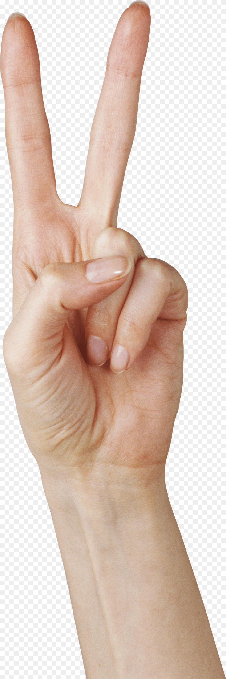 Hands, Body Part, Finger, Hand, Person Png