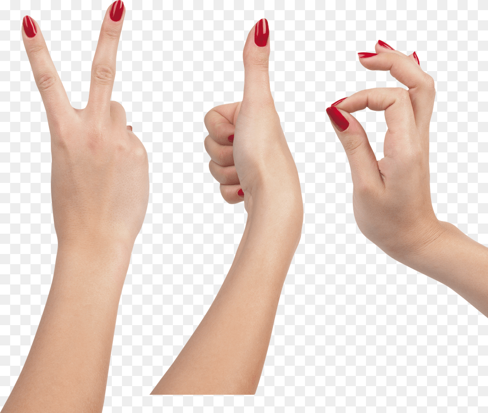 Hands, Body Part, Finger, Hand, Person Png Image