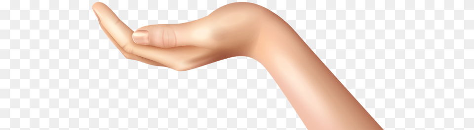 Hands, Adult, Body Part, Female, Finger Png