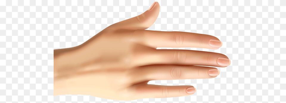 Hands, Body Part, Finger, Hand, Person Png