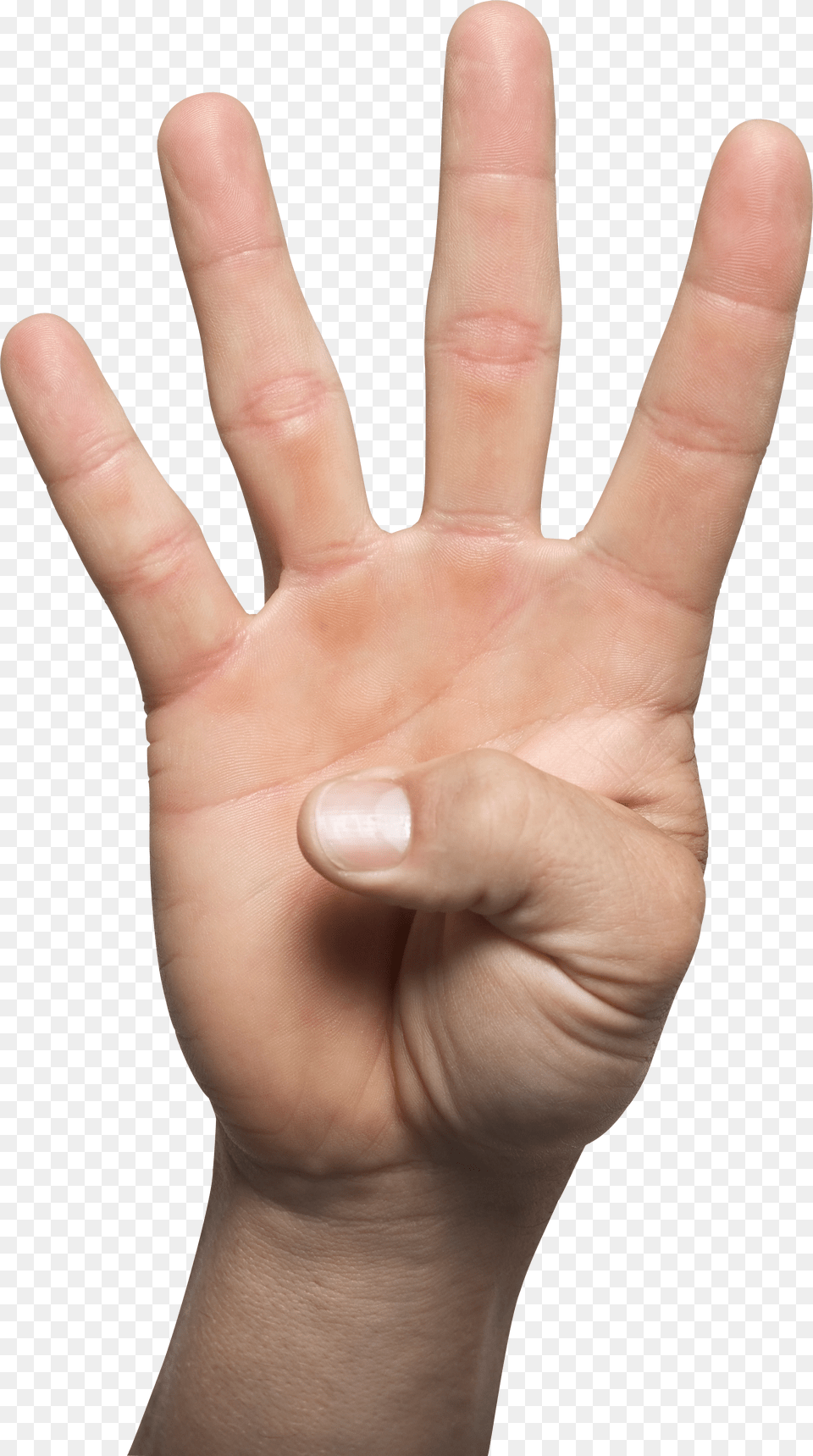 Hands Png Image