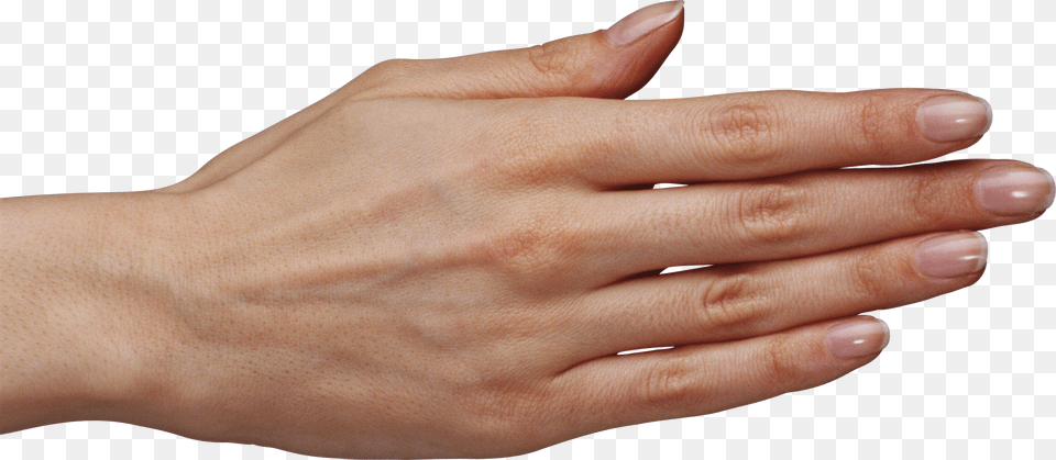 Hands, Body Part, Finger, Hand, Person Free Transparent Png