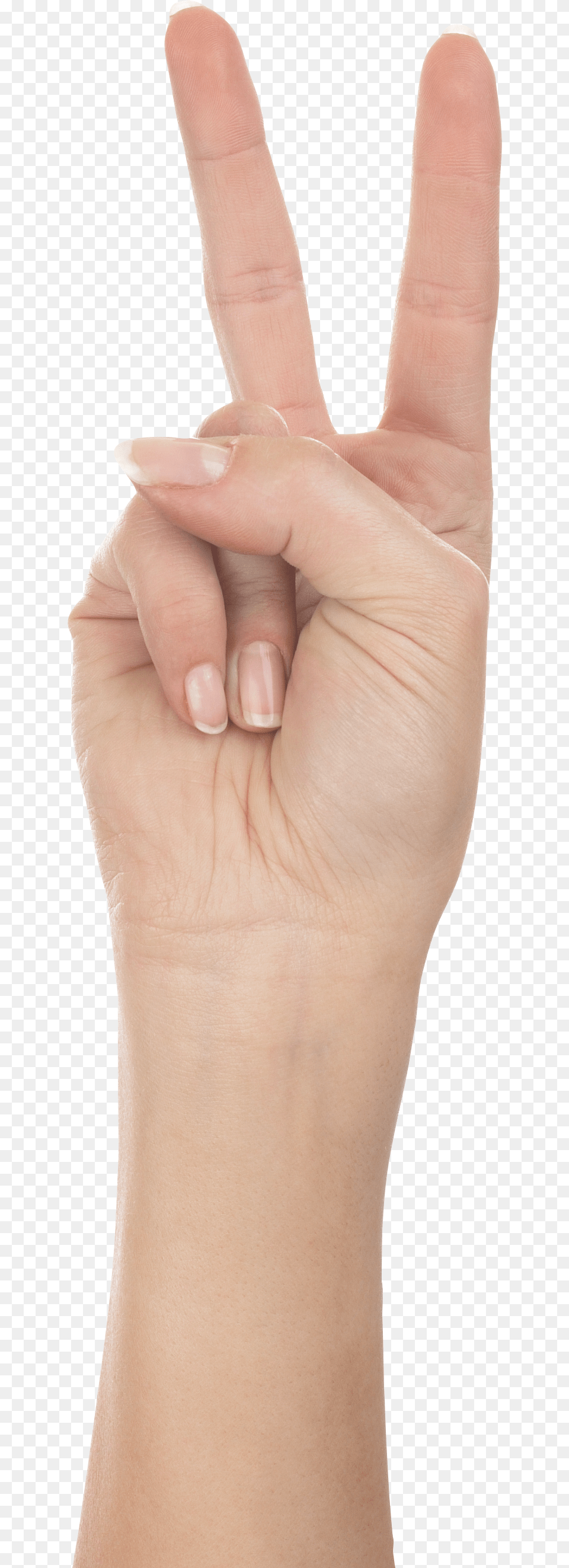 Hands, Body Part, Finger, Hand, Person Png Image