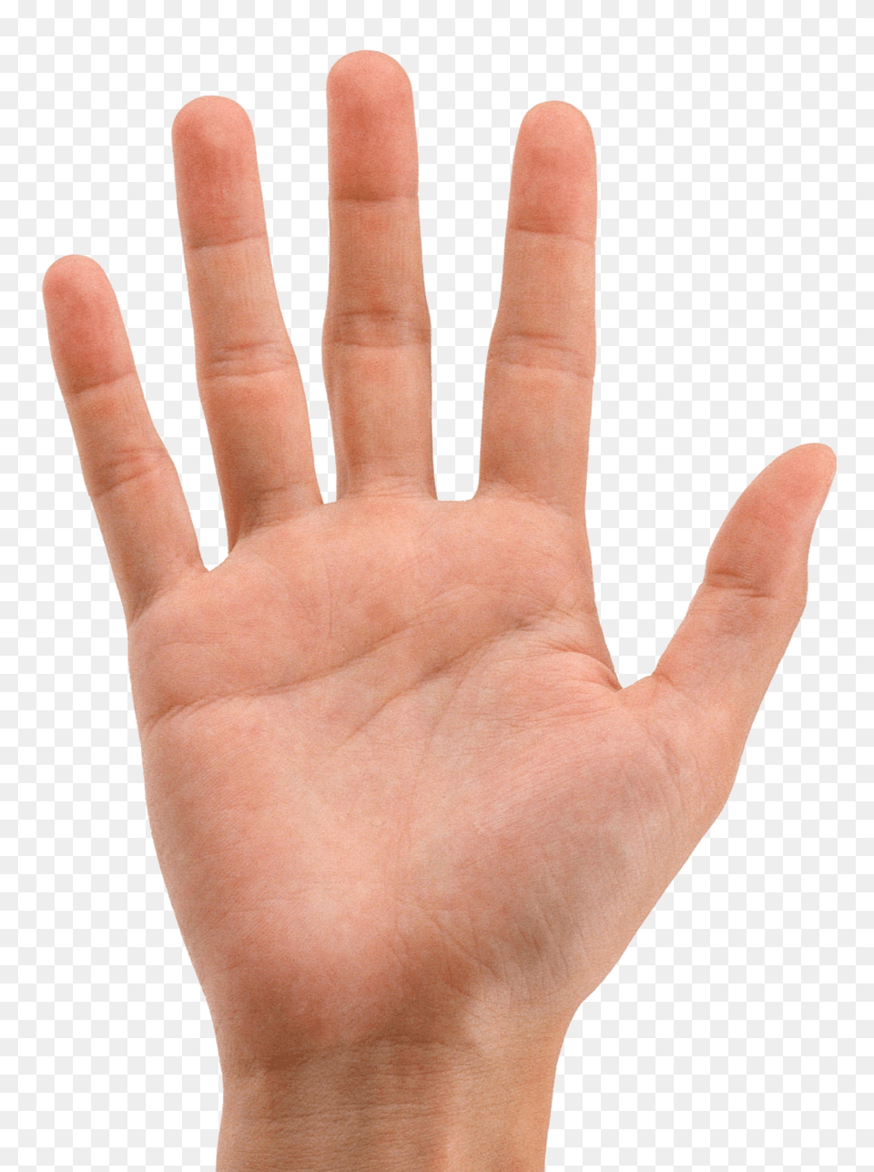 Hands, Body Part, Finger, Hand, Person Free Png Download