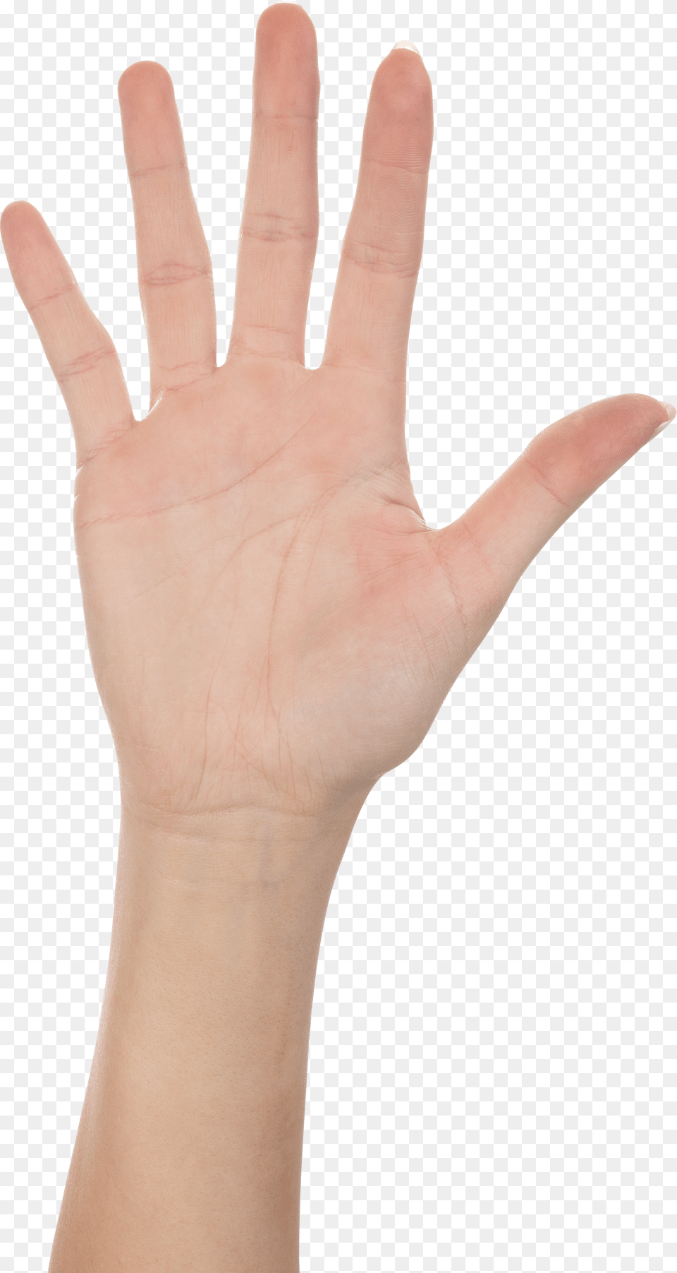 Hands, Body Part, Finger, Hand, Person Free Png Download