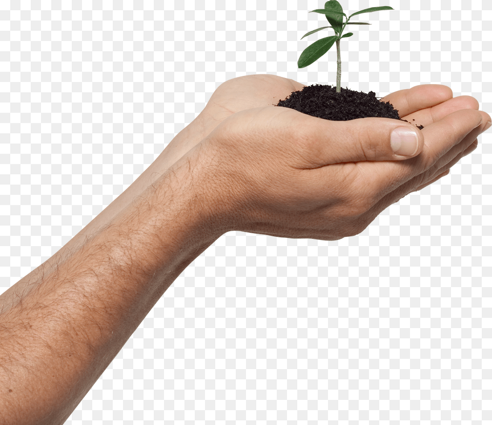 Hands Png Image