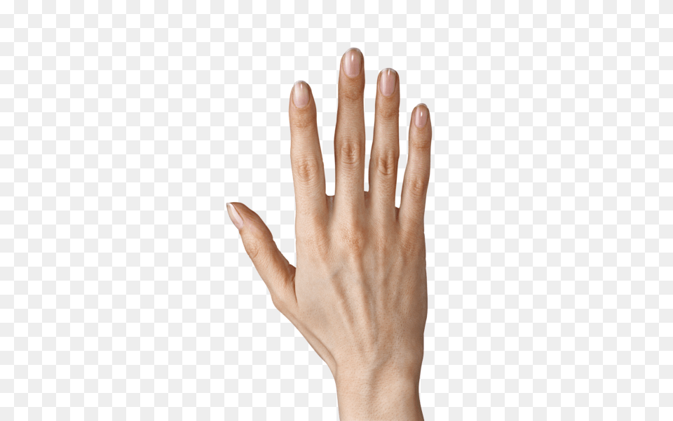 Hands, Body Part, Finger, Hand, Person Free Png Download