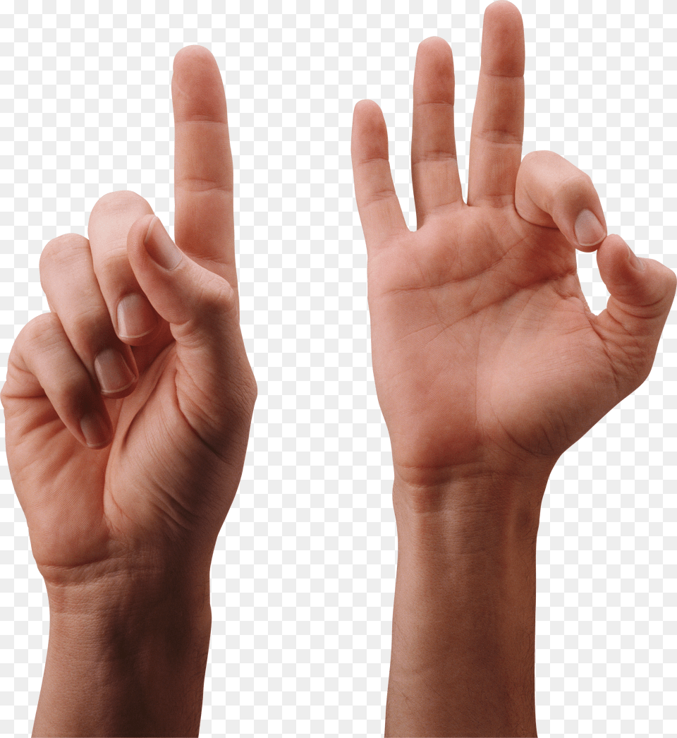 Hands, Spiral, Disk Png