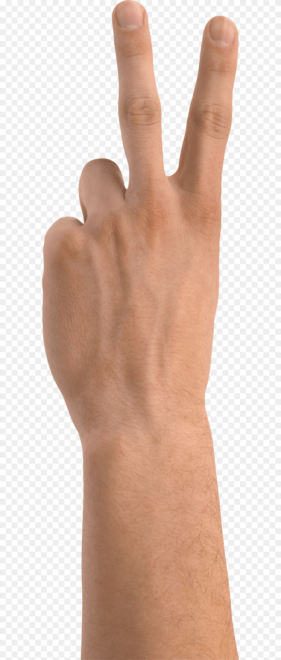 Hands, Body Part, Finger, Hand, Person Free Png