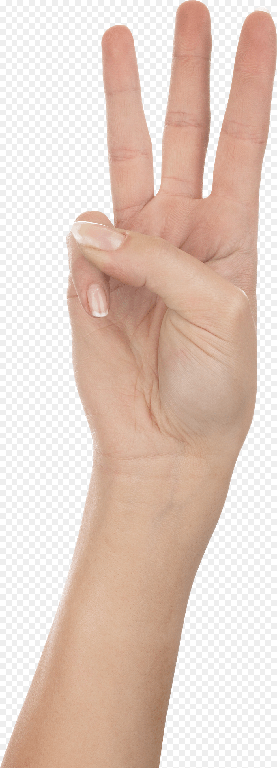 Hands, Body Part, Finger, Hand, Person Png Image