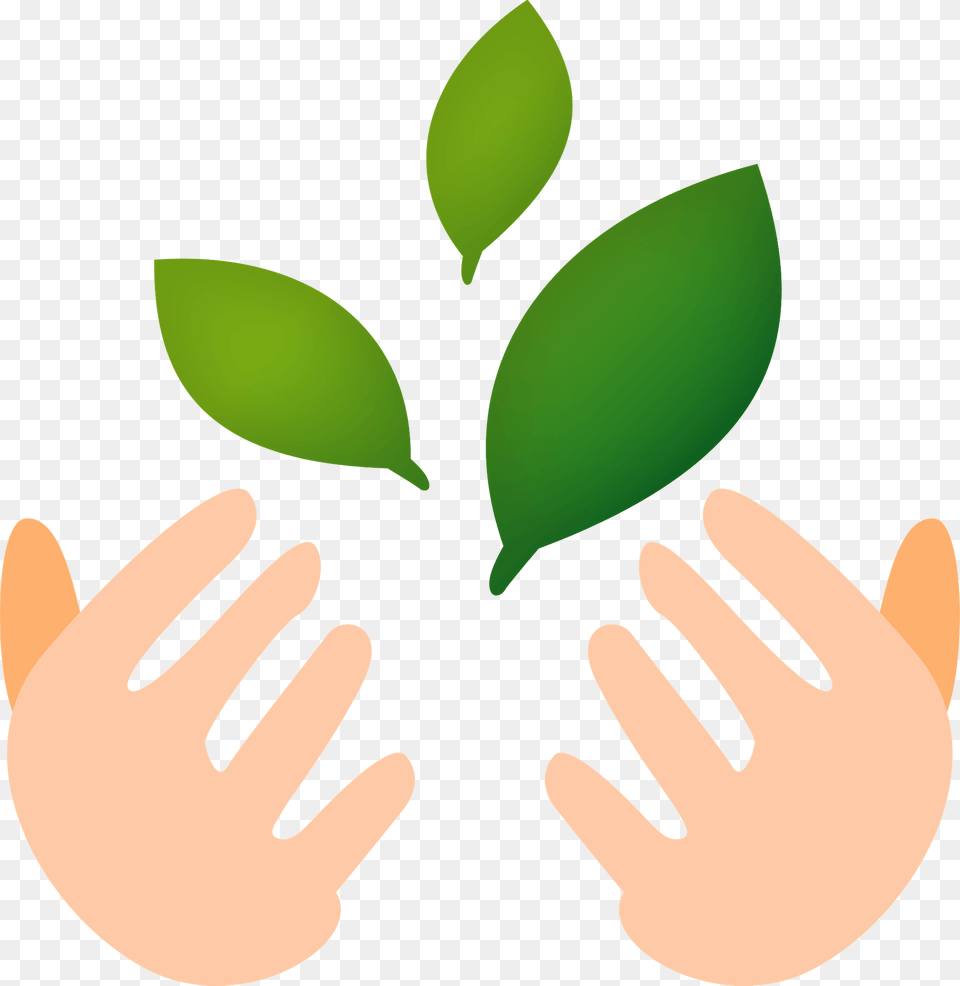 Hands Are Holding Green Leaves Clipart, Body Part, Finger, Hand, Leaf Free Png