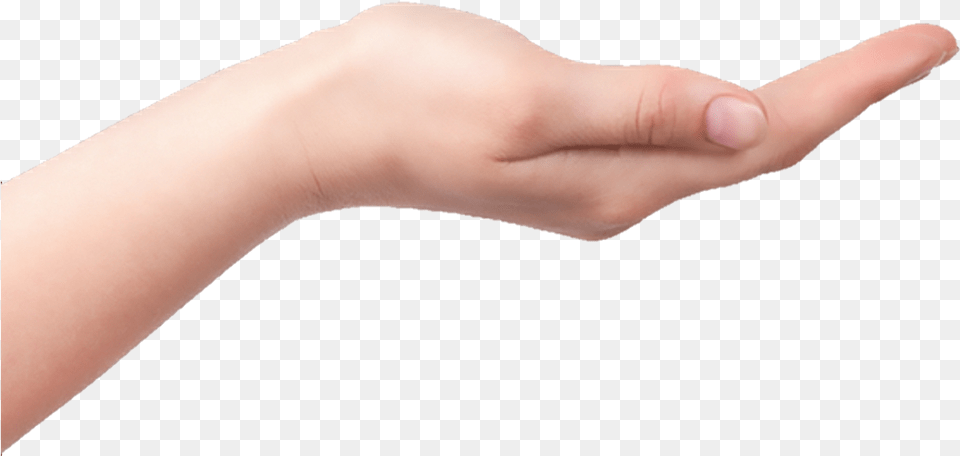 Hands Arms, Body Part, Finger, Hand, Person Free Png