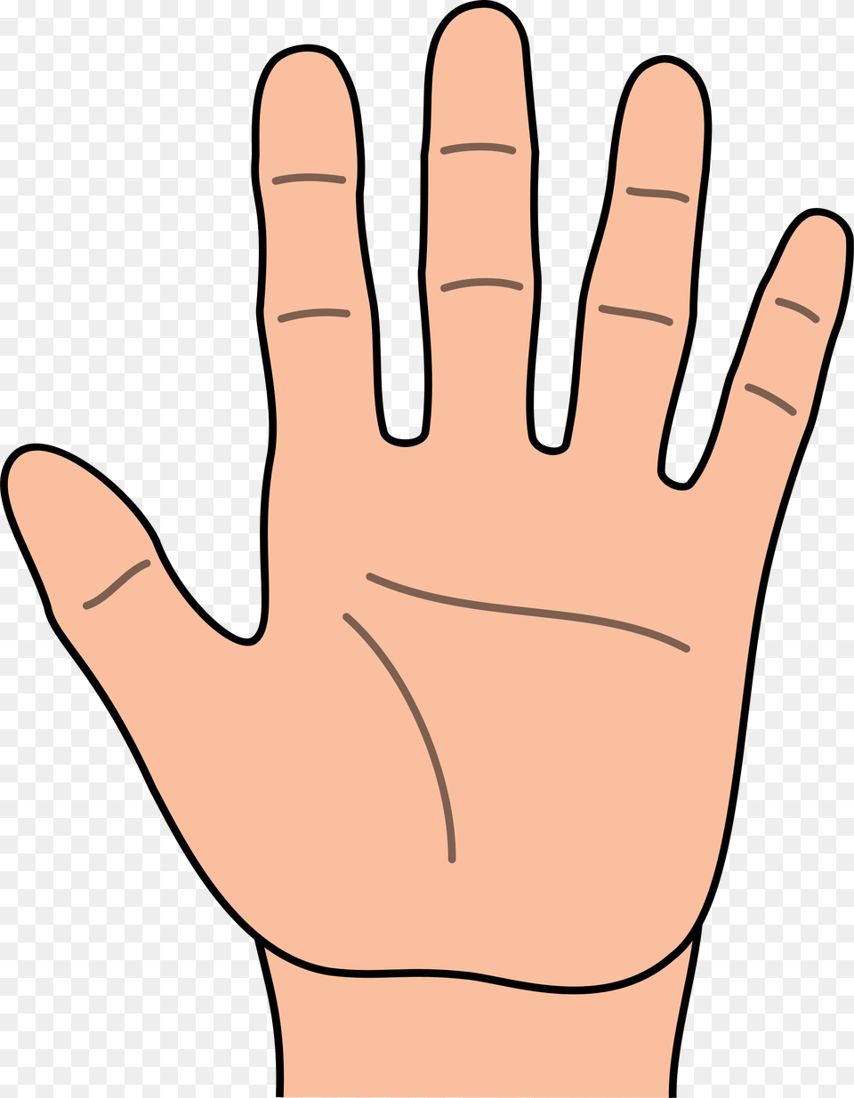 Hands Clip Art, Body Part, Clothing, Finger, Glove Free Png Download
