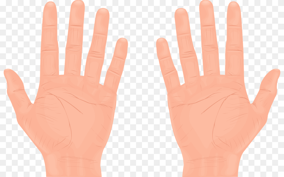 Hands Clipart, Body Part, Finger, Hand, Person Png