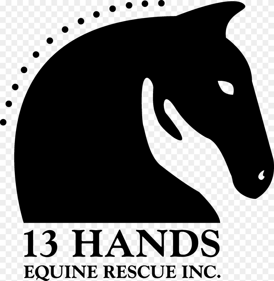 Hands Equine Rescue, Gray Png Image