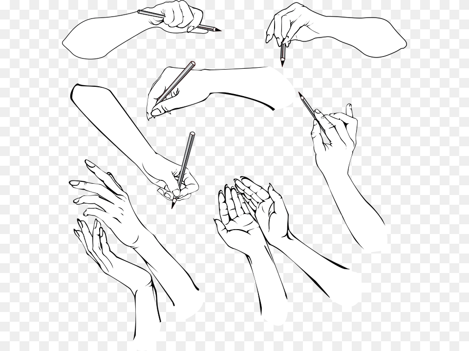 Hands Figure Sketches The Hand People Wrist Illustration, Art, Person, Body Part, Finger Png