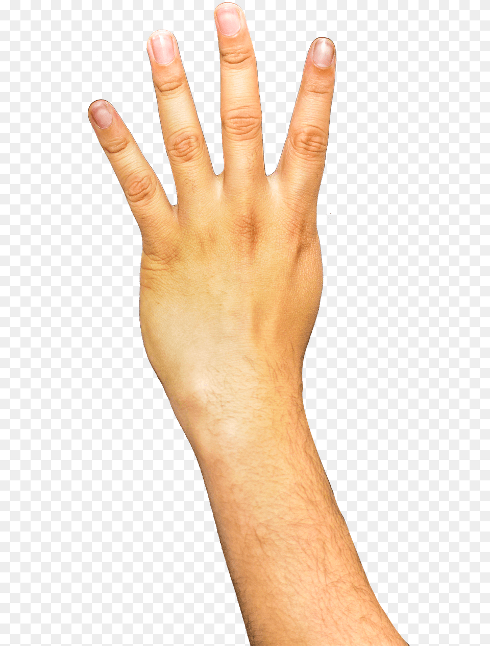 Hands Fingers Arm Transparent Background Arm Transparent, Body Part, Finger, Hand, Person Free Png