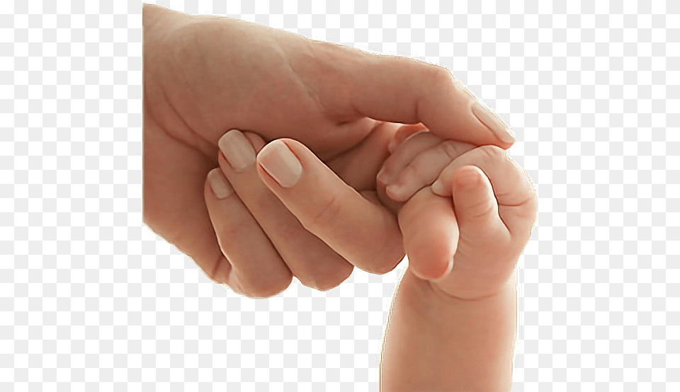Hands Freetoedit Right To Life, Body Part, Finger, Hand, Person Png