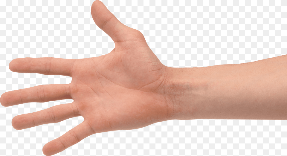 Hands Hand Transparent Hand, Body Part, Finger, Person, Wrist Png Image