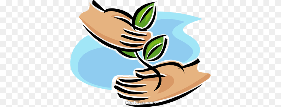 Hands Holding A Sapling Growth Royalty Free Vector Clip Art, Herbal, Herbs, Plant, Outdoors Png Image