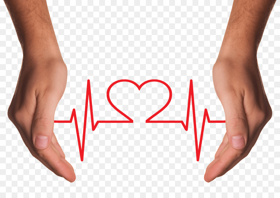 Hands Holding Red Heart With Ecg Line Body Part, Finger, Hand, Person Png Image