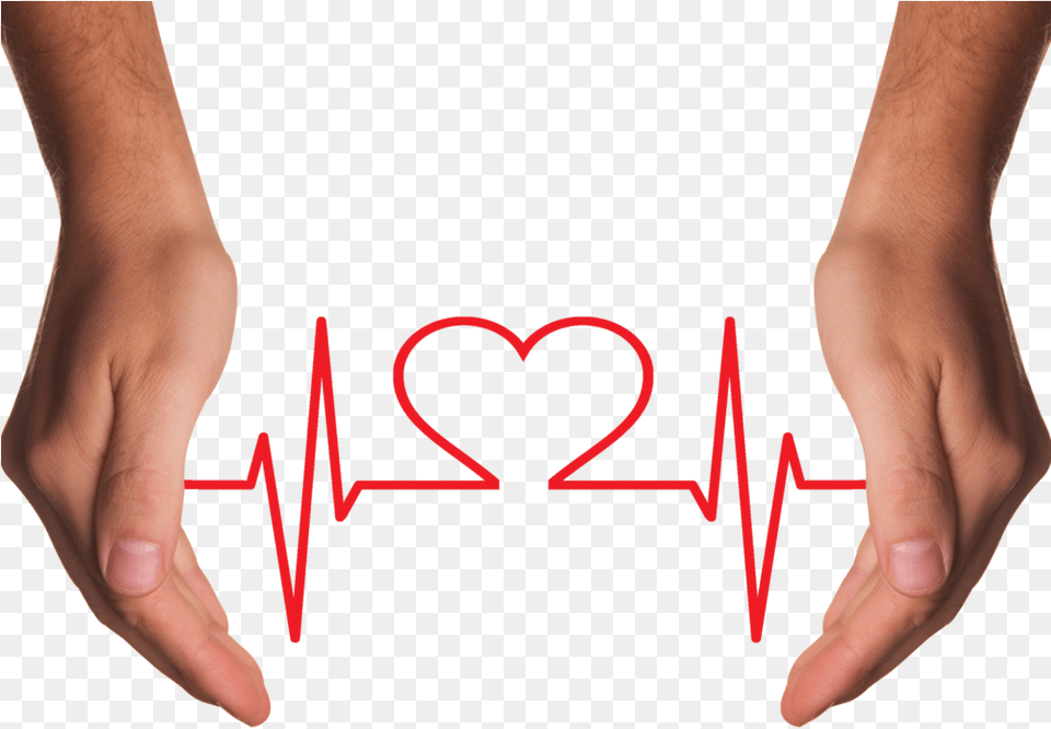 Hands Holding Red Heart With Ecg Line Image Combats Disease, Body Part, Finger, Hand, Person Free Png