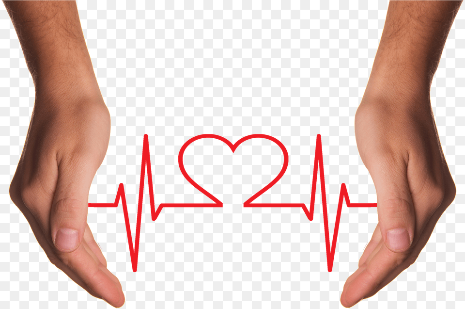Hands Holding Red Heart With Ecg Line Estres En La Salud, Body Part, Finger, Hand, Person Png Image