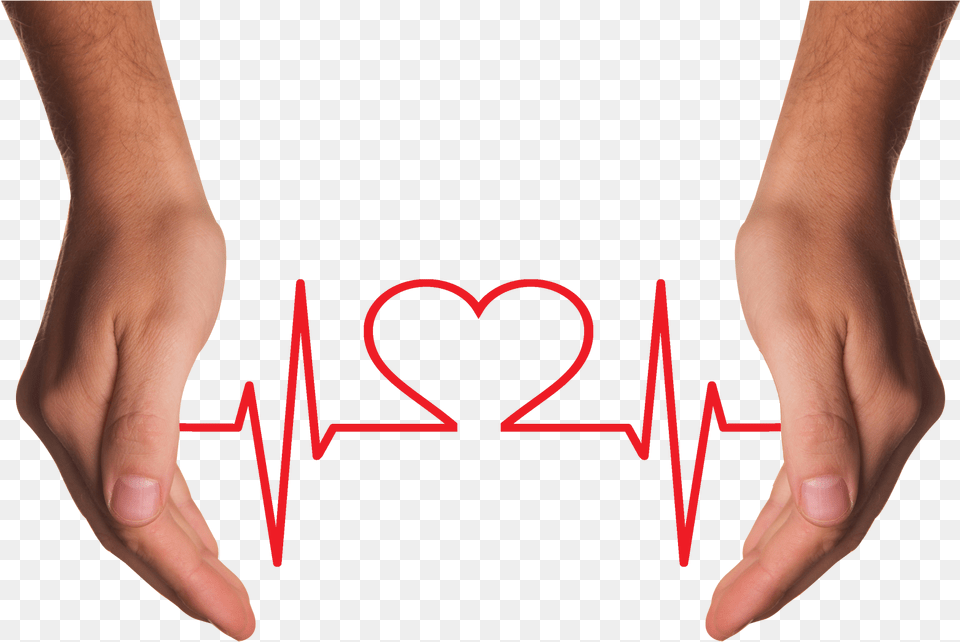 Hands Holding Red Heart With Ecg Line Image Pngpix Estres En La Salud, Body Part, Finger, Hand, Person Free Png