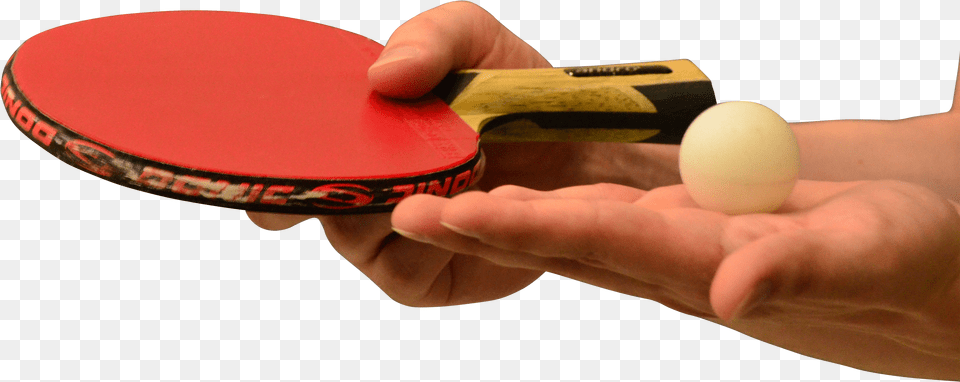 Hands Holding Table Tennis Of Racket And Ball Free Png