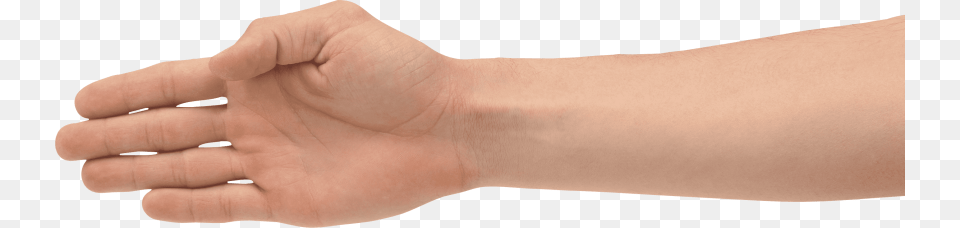 Hands Images Hand Holding Something, Body Part, Person, Wrist, Finger Png