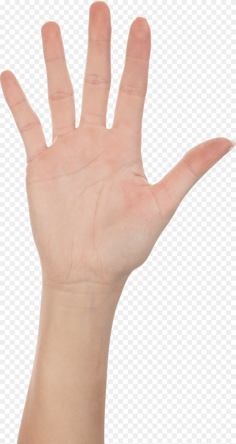 Hands Images Pictures Download Hand Portable Network Graphics, Body Part, Finger, Person, Wrist Free Transparent Png