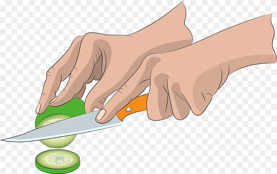 Hands Knife Hand Woman Nutrition Cucumber Cartoon Knife In Hand, Weapon, Blade, Fish, Sea Life Png Image