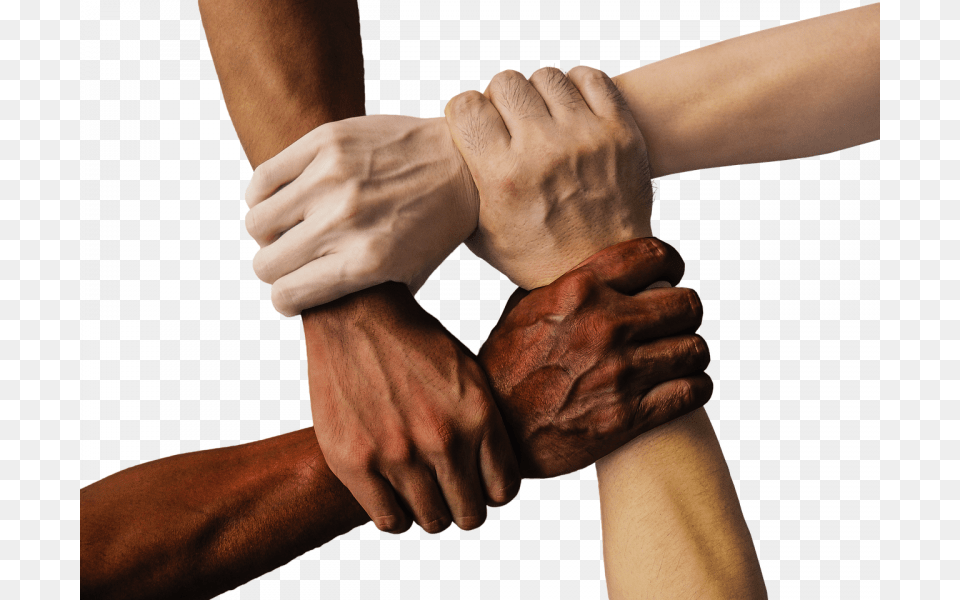 Hands Of Different Races, Body Part, Finger, Hand, Person Png