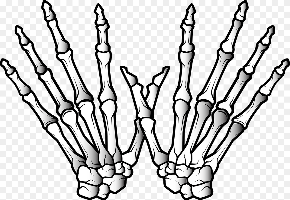 Hands Of Skeleton Clipart, Person, X-ray Png