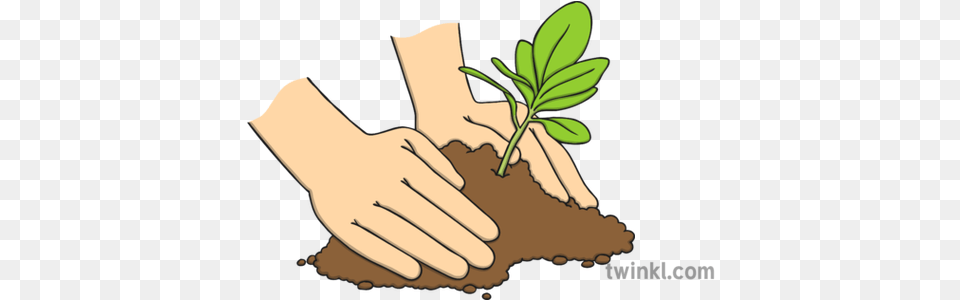 Hands Planting A Tree Illustration Twinkl Hands Planting Tree Art, Person, Plant, Soil, Garden Free Png Download