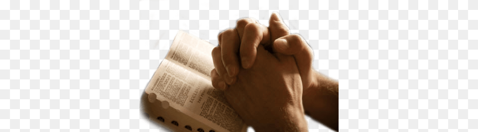 Hands Praying On Bible, Body Part, Finger, Hand, Person Free Transparent Png