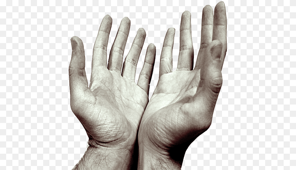 Hands Praying Open, Body Part, Finger, Hand, Person Png