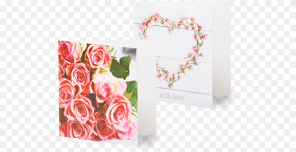 Handwritten Greetings Cars Greeting Card, Rose, Plant, Flower, Envelope Free Transparent Png