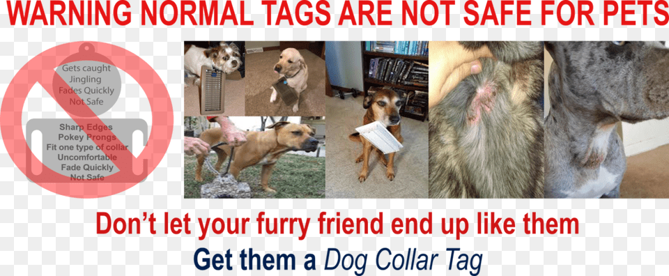 Hang Tag Dog Licks, Animal, Canine, Mammal, Pet Free Transparent Png