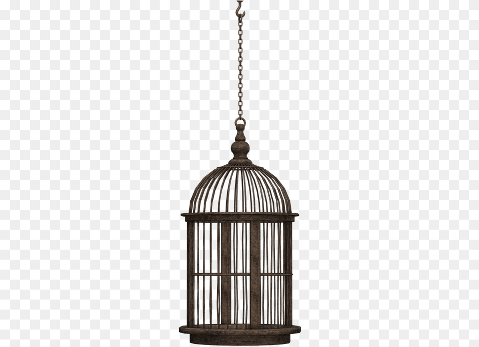 Hanging Bird Cage Black, Lamp Free Png