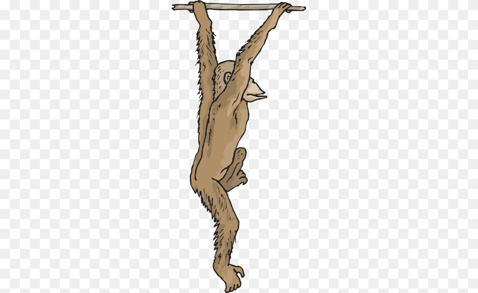 Hanging Chimp Clip Art, Animal, Wildlife, Mammal, Person Free Png