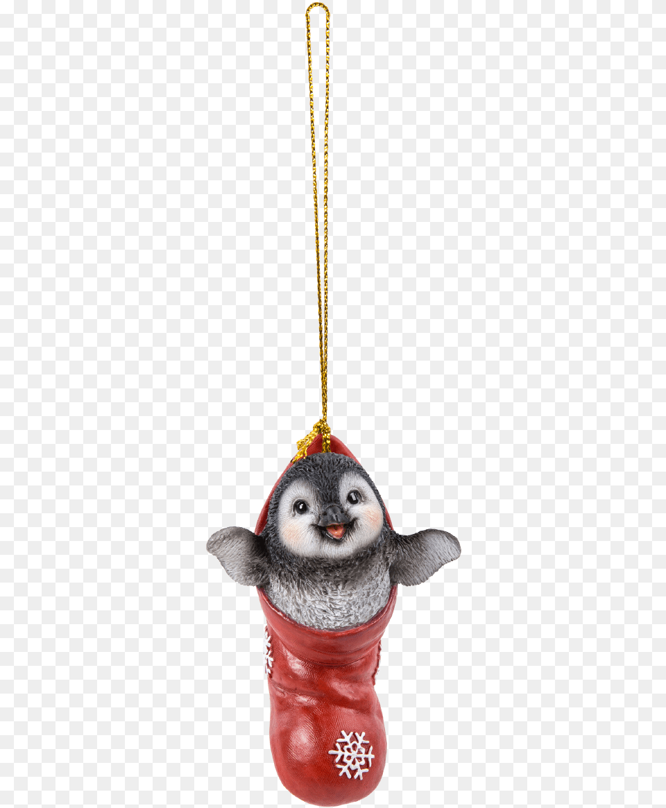 Hanging Christmas Stocking Pet Pals Chain, Animal, Beak, Bird, Accessories Png Image