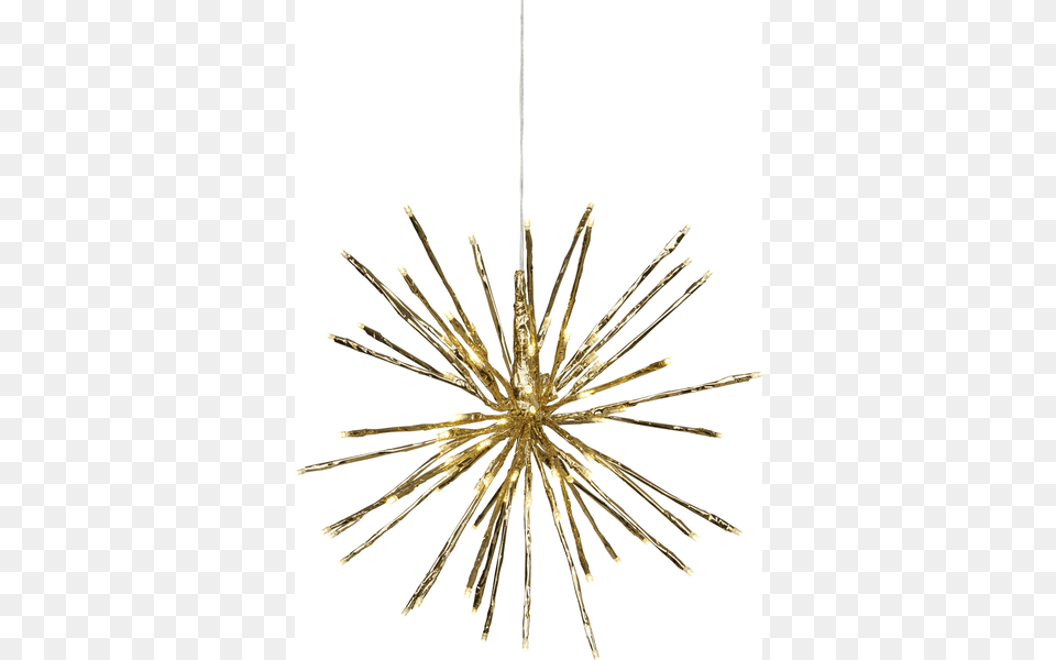 Hanging Decoration Firework, Chandelier, Lamp, Plant Free Png