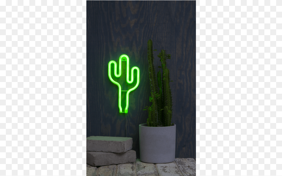 Hanging Decoration Neonlight Flowerpot, Light, Plant, Potted Plant, Neon Free Png