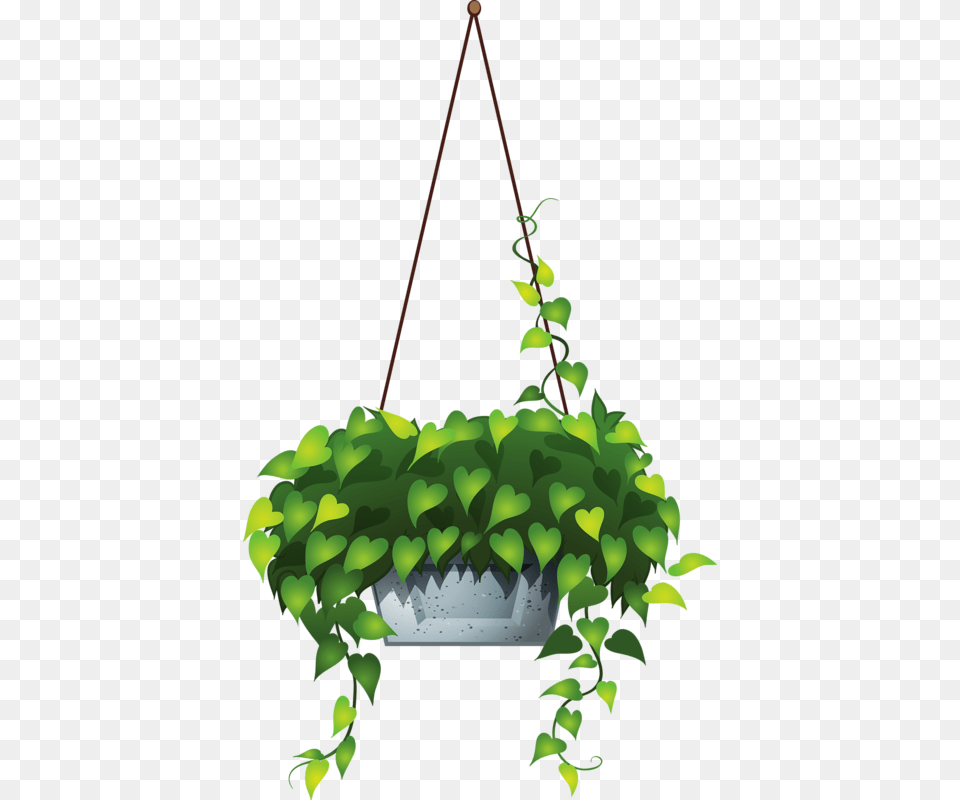 Hanging Flower 6 Hanging Plant Vector, Jar, Planter, Potted Plant, Pottery Free Png